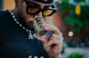Weed Flower: Different Ways People Use It Without Making It Complicated 1 Weed Flower: Different Ways People Use It Without Making It Complicated