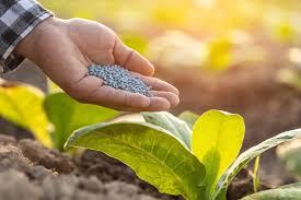 Nitrogenous Fertilizer Market Research Report Covering Latest Trends, Market Drivers, Restraints, Opportunities, Future Scope, Regional Analysis, and Forecast Period 2025–2034 5 Nitrogenous Fertilizer Market Research Report Covering Latest Trends, Market Drivers, Restraints, Opportunities, Future Scope, Regional Analysis, and Forecast Period 2025–2034