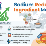Sodium Reduction Ingredient Market