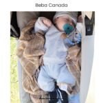 Understanding Certifications for Organic Baby Products 3 Understanding Certifications for Organic Baby Products