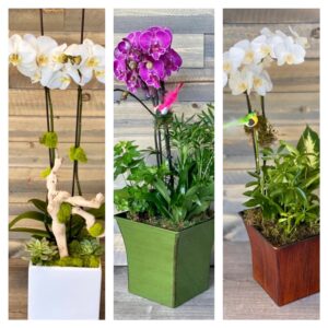 Floral Gifts That Bring Joy to Patients and Families