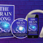 the brain song