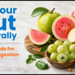 Fix Your Gut Naturally 1