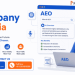 AEO Company in India for Brands Ready for AI Search