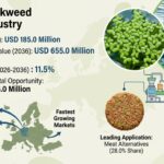 Europe Duckweed Protein Industry