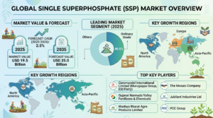 Global Single Superphosphate (SSP) Market Forecast 2025–2035: Market Expansion Driven by Soil Nutrient Management