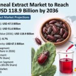 Cochineal Extract Market to Reach USD 118.9 Billion by 2036