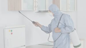 Professional Flies Control Singapore for Clean and Hygienic Spaces 1 Professional Flies Control Singapore for Clean and Hygienic Spaces