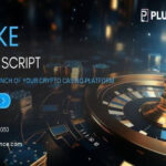 Stake Clone Script Development Company Guide: Choose the Right Partner