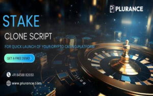 Stake Clone Script Development Company Guide: Choose the Right Partner 1 Stake Clone Script Development Company Guide: Choose the Right Partner