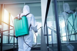 The Cost of Ignoring Pest Problems in Gold Coast Homes 1 The Cost of Ignoring Pest Problems in Gold Coast Homes
