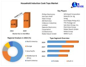 Household Induction Cook Tops Market Dynamics, Consumer Trends and Future Prospects