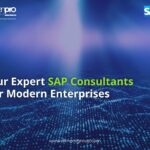 Why Businesses Need SAP Consultants in India