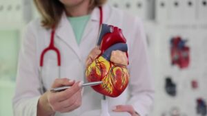 Navi Mumbai Cardiologist Clinics: Important Things to Check Before Visiting