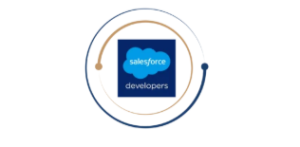 Salesforce Developer Training in Chennai | Bita IT Academy