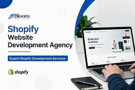 Building a Successful Online Store with a Shopify Development Company