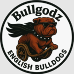 Bulldog Health Essentials Every Home Needs 3 Bulldog Health Essentials Every Home Needs