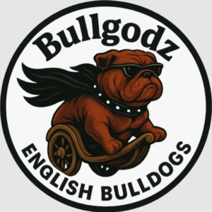 Bulldog Health Essentials Every Home Needs