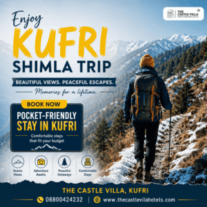 Why Couples Love Visiting Kufri Shimla: Top 5 Reasons