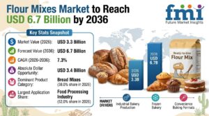 Flour Mixes Market to Reach USD 6.7 Billion by 2036 1 Flour Mixes Market to Reach USD 6.7 Billion by 2036