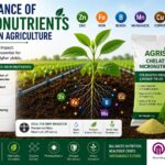 june article 2
