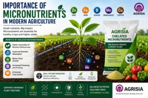 Importance of Micronutrients in Modern Agriculture 1 Importance of Micronutrients in Modern Agriculture