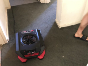 How Fast Should Water Damage Be Treated After a Leak? 1 How Fast Should Water Damage Be Treated After a Leak?