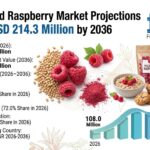 Freeze dried Rasberry Market