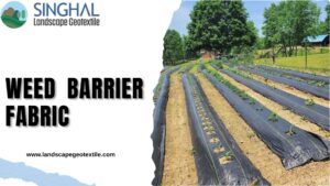 Weed Barrier Fabric For Professional Landscaping Projects 1 Weed Barrier Fabric For Professional Landscaping Projects
