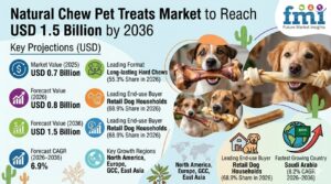 Natural Chew Pet Treats Market to Reach USD 1.5 Billion by 2036