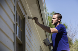 Where Can You Find Professional Painting Services in Virginia?