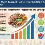 Hybrid Plant Meat Market