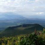 images 11