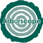 Tree Surgeon Cockermouth – Professional Tree Care Services by Arborscape