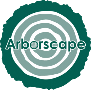 Tree Surgeon Cockermouth – Professional Tree Care Services by Arborscape 1 Tree Surgeon Cockermouth – Professional Tree Care Services by Arborscape