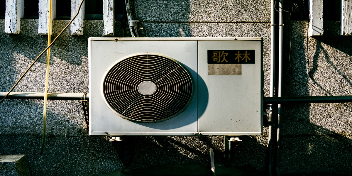 ticka kao 1KNFO2dpoiM unsplash 1 1
