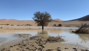 Exploring the Skeleton Coast: Namibia's Most Mysterious Destination 1 Exploring the Skeleton Coast: Namibia’s Most Mysterious Destination
