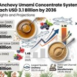 Sardine and Anchovy Umami Concentrate Systems Market