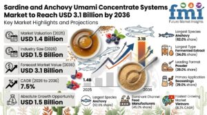 Sardine and Anchovy Umami Concentrate Systems Market to Reach USD 3.1 Billion by 2036