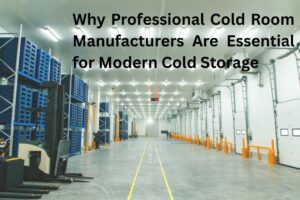 Why Professional Cold Room Manufacturers Are Essential for Modern Cold Storage