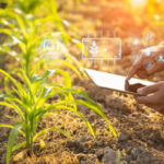 istockphoto 1469639791 612x612 1