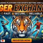 Navigating Dynamic Sports Update Interfaces and Modern Web Dashboards