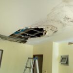 Why Mold Remediation Is the Best Solution for Severe Mold Problems 3 Why Mold Remediation Is the Best Solution for Severe Mold Problems