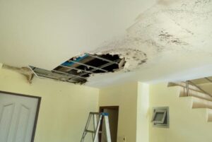 Why Mold Remediation Is the Best Solution for Severe Mold Problems 1 Why Mold Remediation Is the Best Solution for Severe Mold Problems