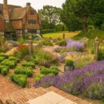 How Expert Guidance Turns Your Garden into Something Special
