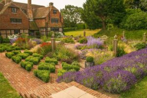 How Expert Guidance Turns Your Garden into Something Special 1 How Expert Guidance Turns Your Garden into Something Special