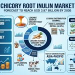 Chicory Root Inulin Market Set to Reach USD 3.87 Billion by 2036 3 Chicory Root Inulin Market Set to Reach USD 3.87 Billion by 2036