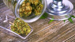 Essential Things to Know Before Visiting a Cannabis Dispensery