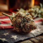 How Premium Strains Deliver a Better Experience