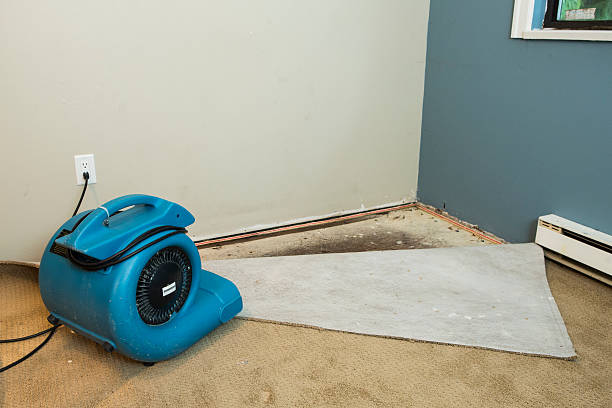 istockphoto 469661120 612x612 1